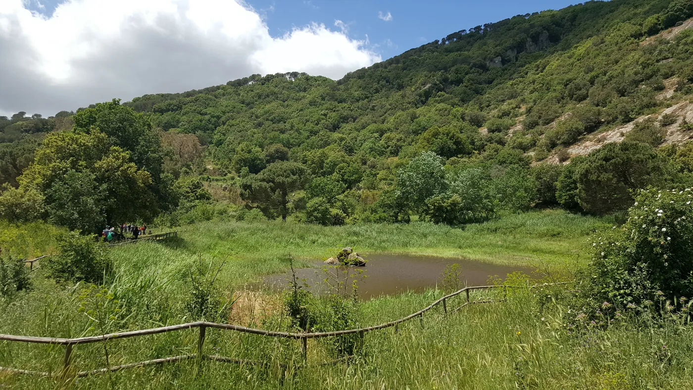 Monte Altesina