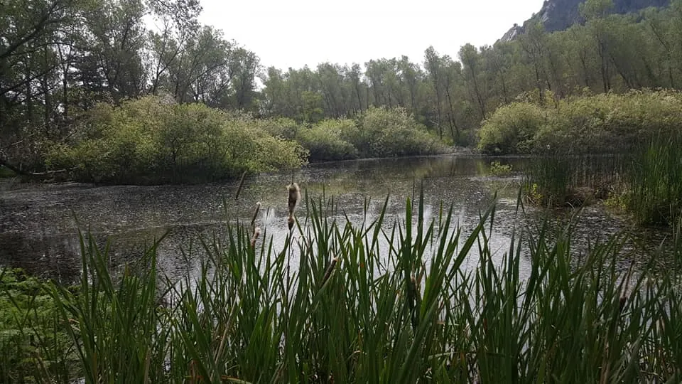 Laghi vicino a Nicosia